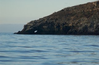 Santa Cruz Island